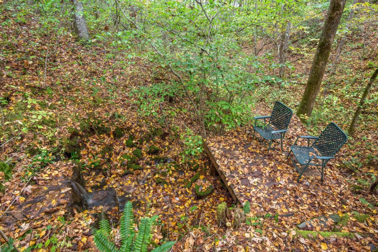 Mountain Top Tranquility Sylva Exterior foto